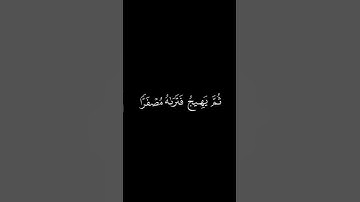 #كرومات_قرآن اعلموا أنما الحياة الدنيا لعب ولهو بصوت الشيخ فارس عباد #تلاوة_خاشعة