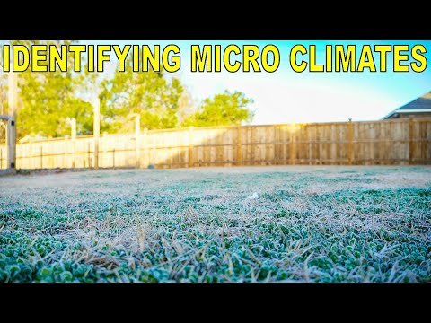 Video: Làm vườn với Microclimates trong tâm trí: Sử dụng Microclimates trong khu vườn của bạn