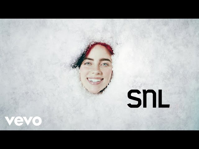 Billie Eilish - What Was I Made For? (from Saturday Night Live, 2023) class=