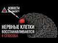 Как бактерии защищают от радиации и фриссоны у людей. Главное на QWERTY №147