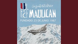 Video thumbnail of "Conjunto Folclorico Maulican - Voy a pedirle a la nada"