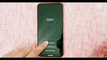 Huawei Y7 prime -2019 ( DUB -LX1 ) Hard reset /  pin, pattern, password unlock * Easy method