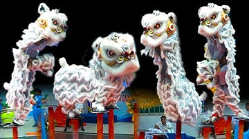 Múa Lân 2025 LSR Miếu Bảy Bà thi Lân nhảy Mai Hoa Thung tại Giải Vô Địch Lân Sư Rồng Toàn Quốc