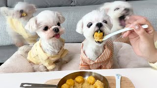 Making Sweet Pumpkin Cream Gnocchi Now? by 보리 빛나는 밤 kiyomi_bori 68,093 views 3 months ago 7 minutes, 14 seconds