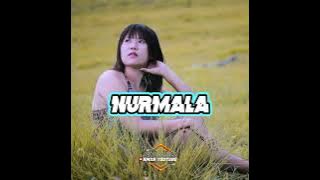 LAGU JOGET WETA NURMALA TERBARU 2023