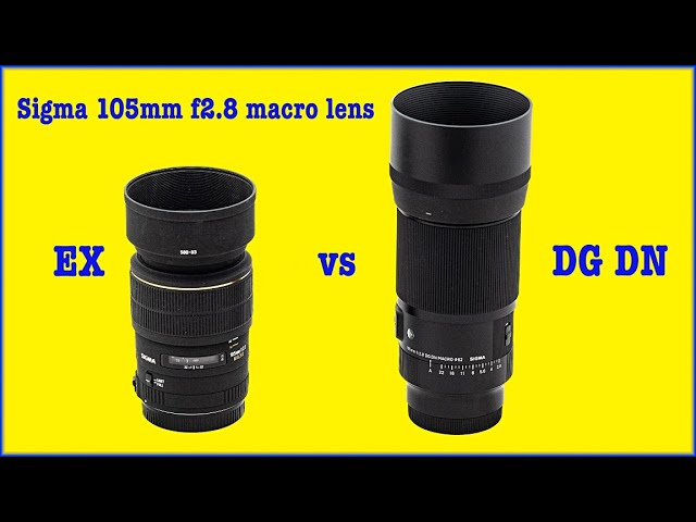 Sigma 105mm f2 8 DG DN macro lens review
