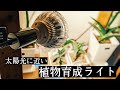 【観葉植物】BARRELの植物育成ライトを購入しました【レビュー】