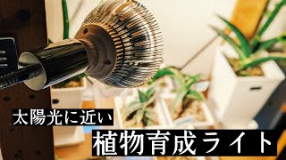 【観葉植物】BARRELの植物育成ライトを購入しました【レビュー】