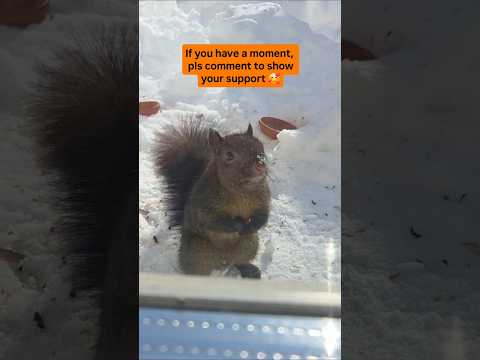 if you think my channel is authentic, please comment 🥰🙏