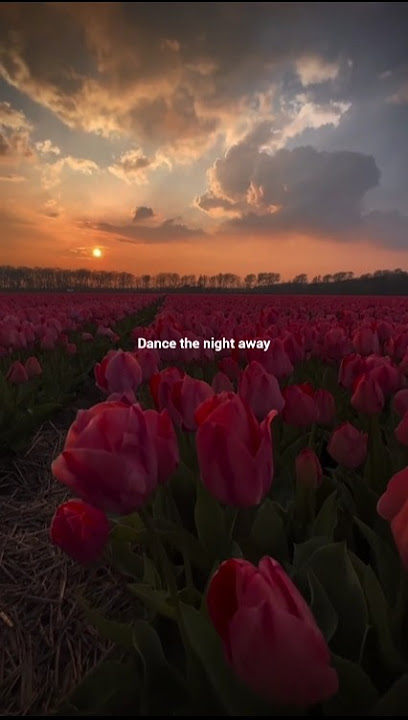 Jennifer Lopez - On The Floor (Lyrics) ft.Pitbull | Aesthetic #jenniferlopez#onthefloor#youtubeshort