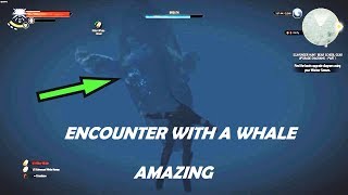 OCEAN GIANT Scares Me - Is It Friendly?