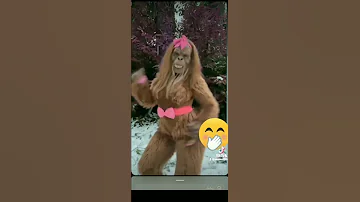 جيجلية 
