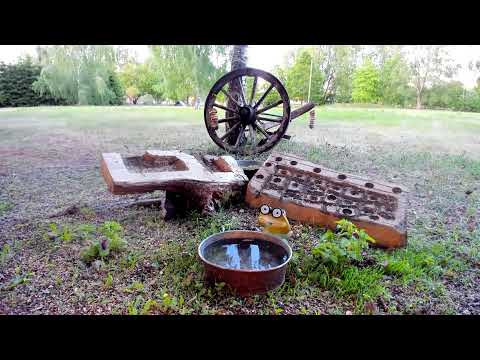 ANTISTRESS. Nature TV. Estonian wild bird feeder camera. Welcome to our peaceful (10/06/23)