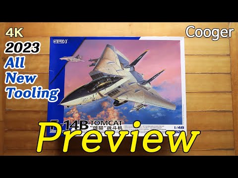 Video: Great Wall Hobby GWHL4828 Grumman F-14B Tomcat (1/48)
