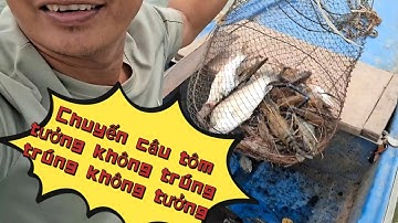 Câu tôm cảng Cái Cui và cái kết không ngờ #tập1