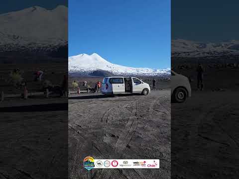 Video: así es un día completo en el Parque Nacional Conguillío