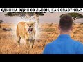 3 забавных факта из мира животных