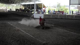 PUNTA ESCARAMUZA EL GRAN CHAPARRAL