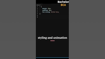 Invalid Input in CSS || HTML CSS