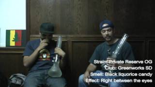 SDWR The Weedview #5: Haters n' Trolls