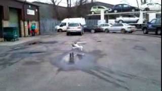 Fun Copter.mp4