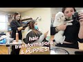 COME TO WORK AT THE SALON WITH ME | HAIR COLOR TRANSFORMATIONS & PUPPIES