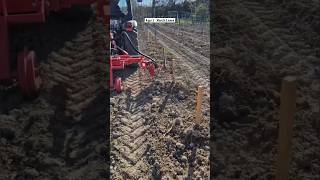 inRow Cultivator For Weeds Between The Rows || Made By Herve Mauricio France || shorts