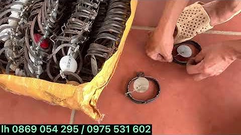 cạm 9cm cạm kiềng chuyên bắt chuột đồng,chuột thịt.10 bác bắt chuột10 bác khen,hiệu quả cao(báo giá)