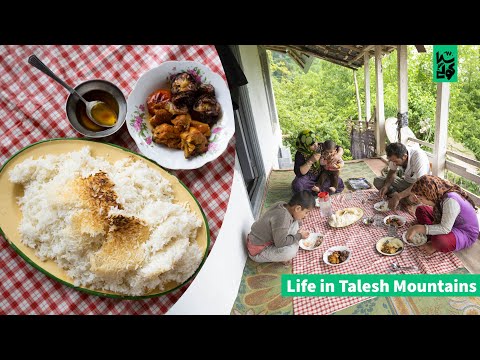 Country life in Talesh Mountains Vlog 2 - Village Affairs