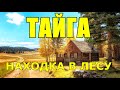 Черный камень НАХОДКА В ЛЕСУ ЖИЗНЬ В ТАЙГЕ