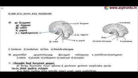 10th Science First Revision 2019 - Answer Keys (Trichy District) | (Tamil & English Medium)