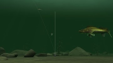 Choosing Drop Shot length for BIG fish.