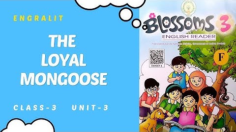 3rd Class English | The Loyal Mongoose | Unit-3 | Blossoms -3 | Engralit | by Balajee |