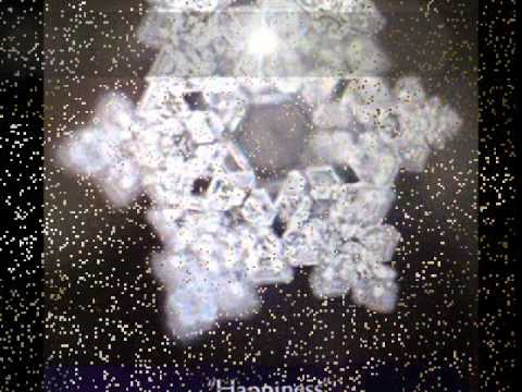 Dr. Masaru Emoto&rsquo;s Water Experiment: Words Are Powerful