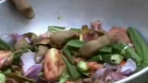 SAVE OUR EARTH  -  Calibre Academy