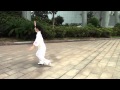 Yang tai chi 42 form