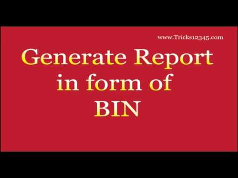 SQL: Report The Data Inform Of Bin