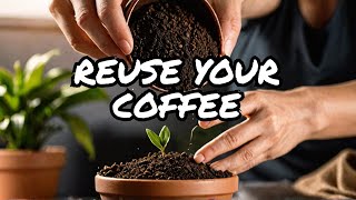 Surprising uses for used coffee grounds