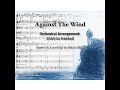 Against the wind theme music  rearranged by shahriar haddadi 