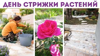 ⭐VLOG I ЗАНЯЛАСЬ СТРИЖКОЙ РАСТЕНИЙ, а муж подпорной стенкой I ЗАКОНЧИЛА СТУПЕНЬКИ из камня