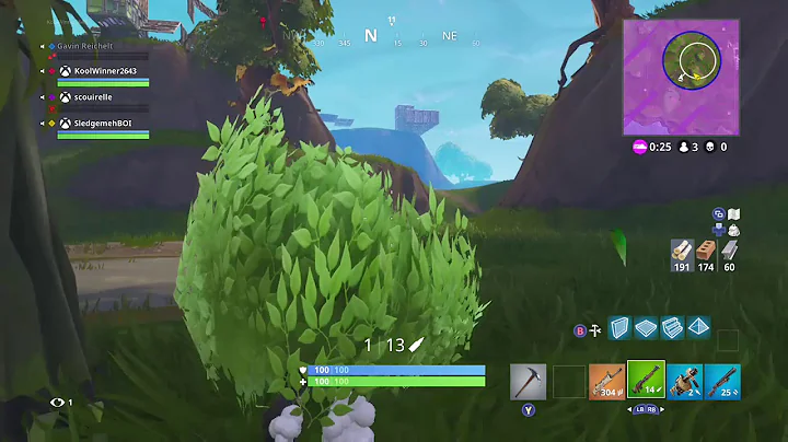 VICTORY ROYALE