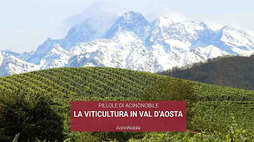 Quali sono i vini della Valle d'Aosta?