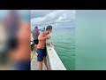 Lifeguards rescue hooked sea turtle in Bay County