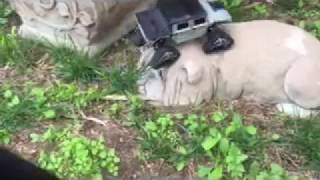 IMG 1587