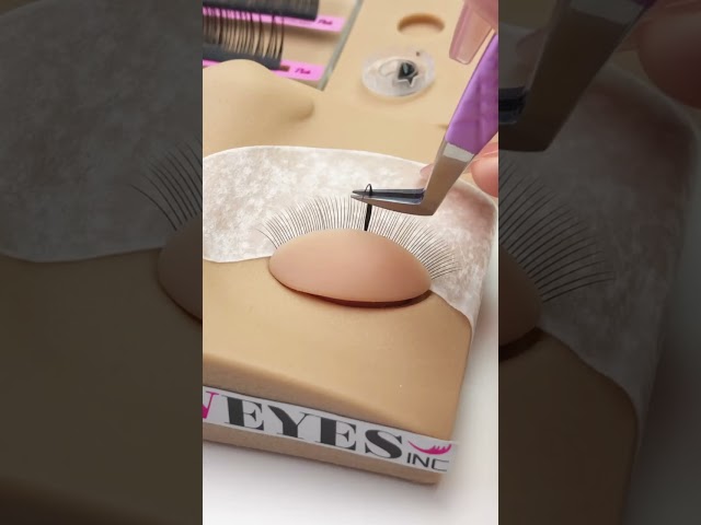 The most beautiful Wispy Lash looks