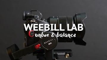 Zhiyun Weebill Lab TINY Gimbal & How to Balance with A7iii