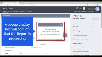 CIN-01 Verification of Homelessness Report