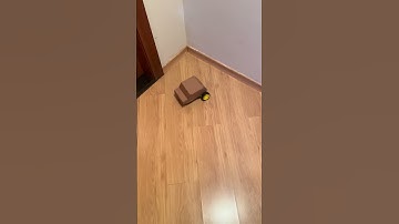 Carrinho Arduino com Sensor Ultrassônico