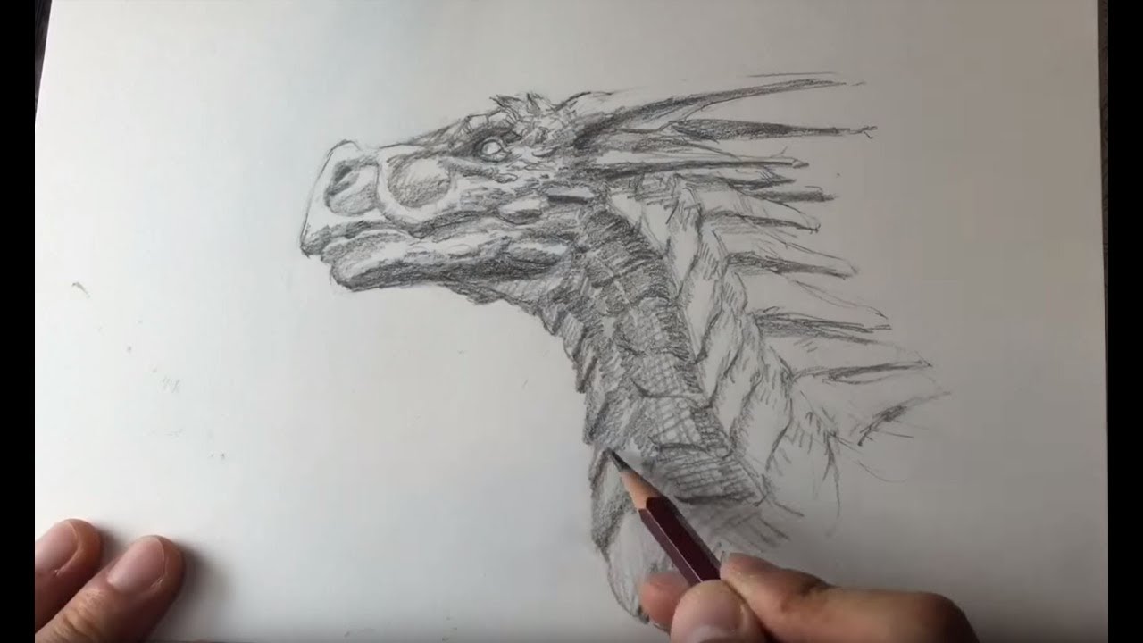 2minutes Drawing Process Narupinist S Dragon 01 With Pencil 描いてみた2分動画 ナルピニストのドラゴン04 Youtube