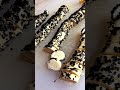 عوشركم مبروكة عوشركم مبروكة
